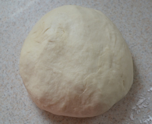 Pizza Dough After Mixing and Kneading